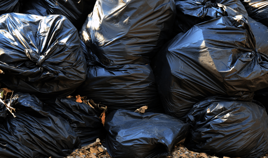 YARD WASTE CLEANUP